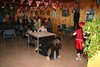 IMG_1558